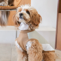 Pawsync BreezeDry Sport Vest
