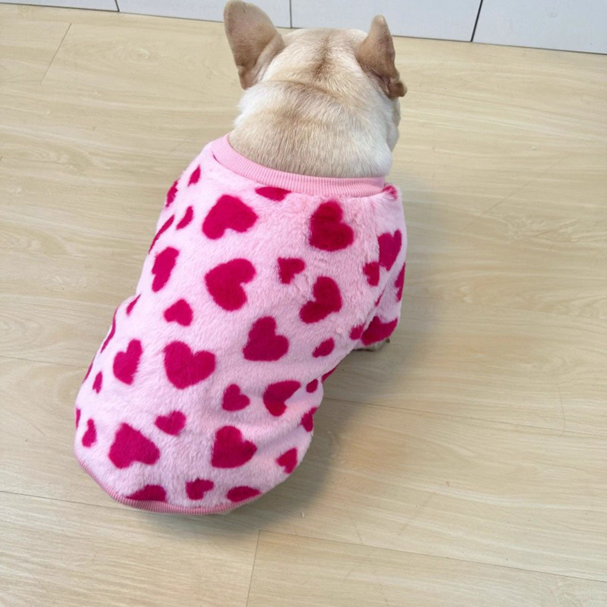 PINK (4).jpg