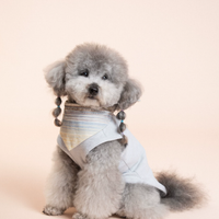 SoftPaw Comfort Bib Bandana