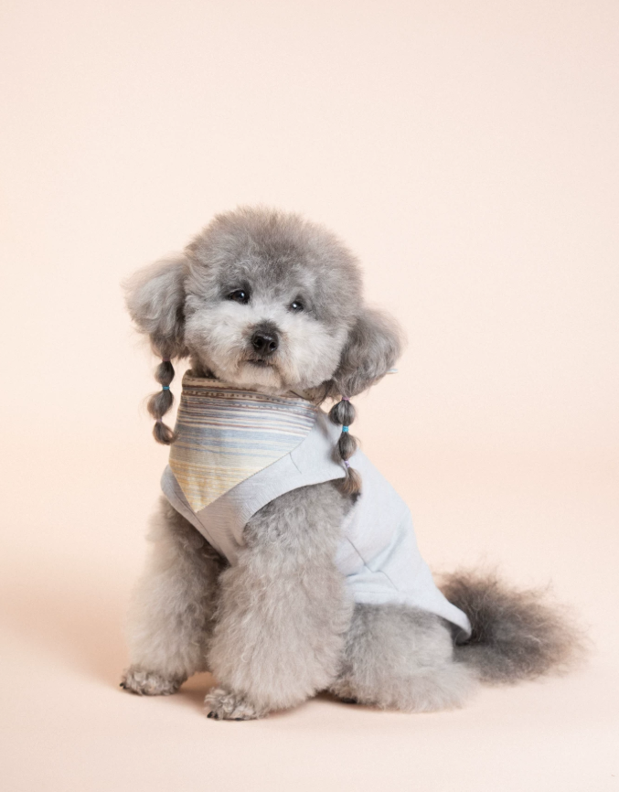 SoftPaw Comfort Bib Bandana