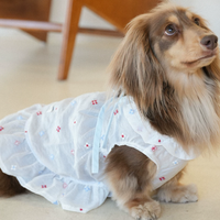 BloomTail Floral Mesh Pet Dress