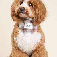RusticTail Everyday Pet Bandana