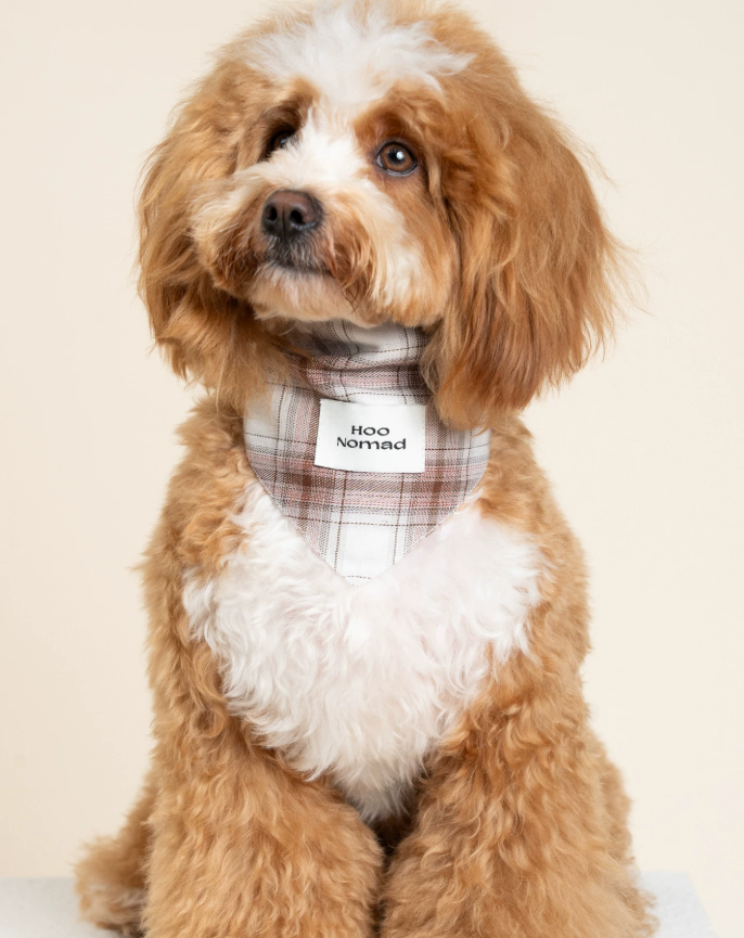 RusticTail Everyday Pet Bandana