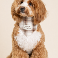 RusticTail Everyday Pet Bandana