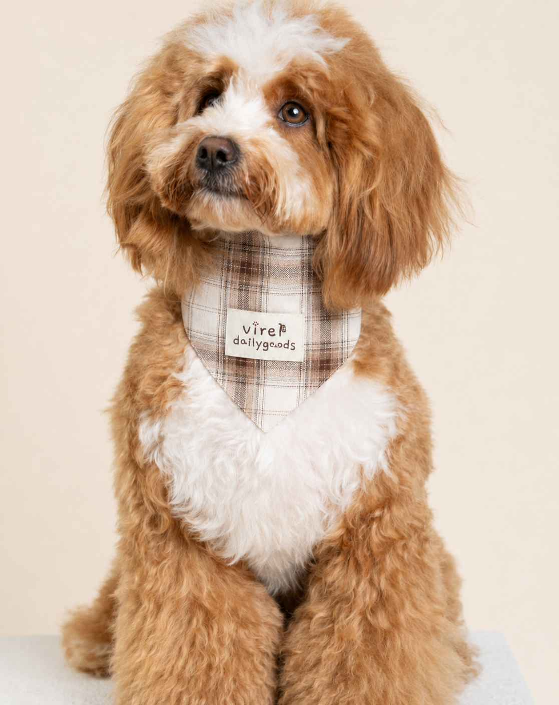 RusticTail Everyday Pet Bandana
