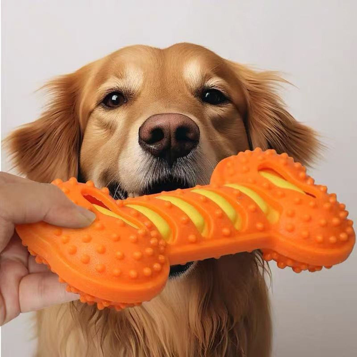 ORANGE.jpg