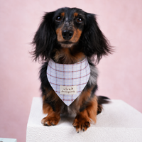 RusticTail Everyday Pet Bandana