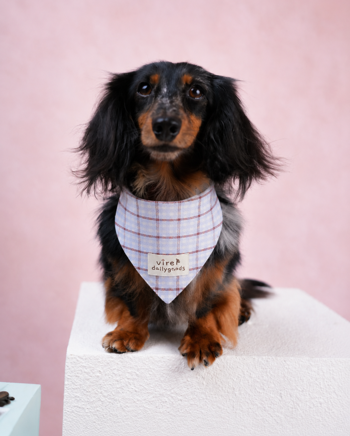 RusticTail Everyday Pet Bandana