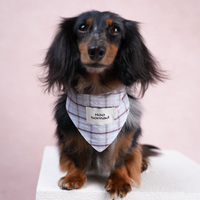 RusticTail Everyday Pet Bandana
