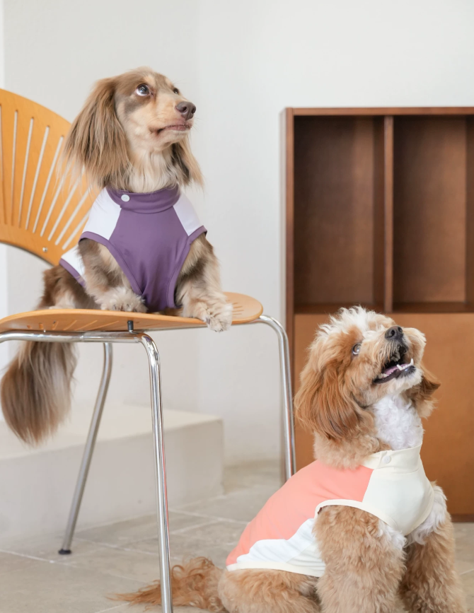 Pawsync BreezeDry Sport Vest
