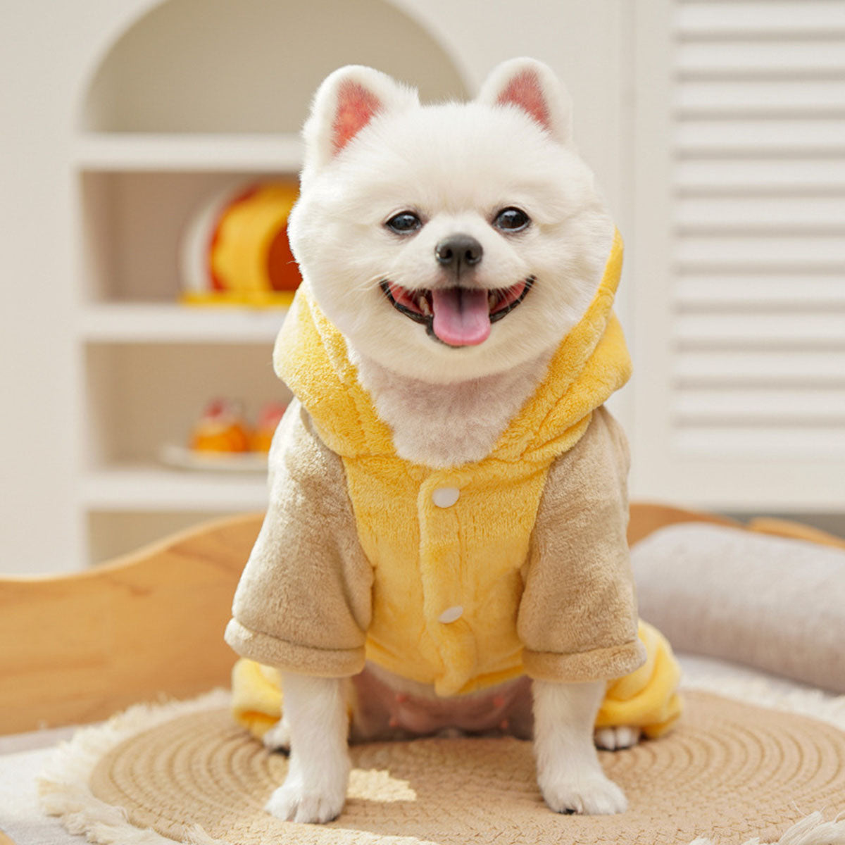 YELLOW (5).jpg