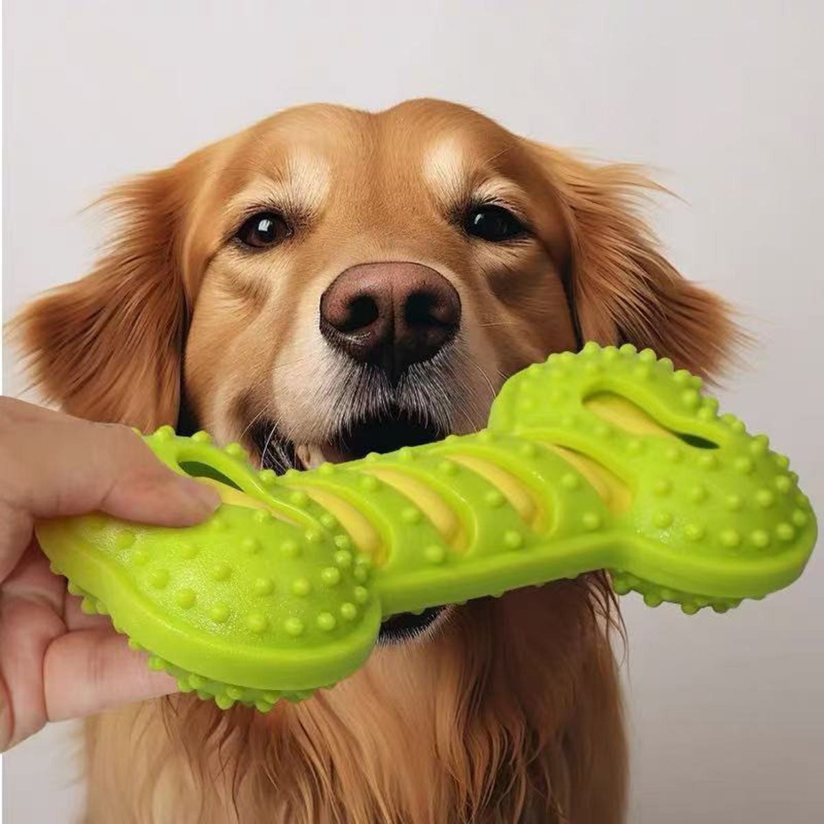 GREEN.jpg